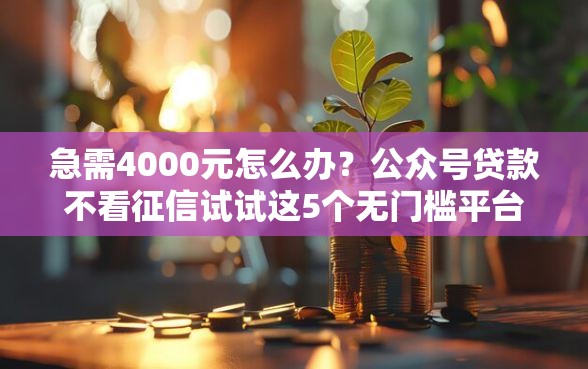 急需4000元怎么办？公众号贷款不看征信试试这5个无门槛平台