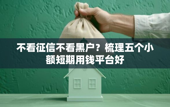 不看征信不看黑户？梳理五个小额短期用钱平台好