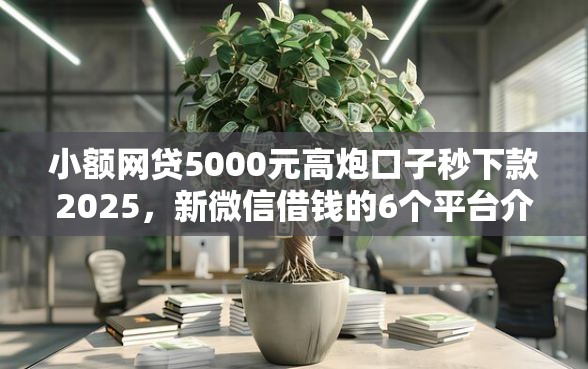 小额网贷5000元高炮口子秒下款2025，新微信借钱的6个平台介绍