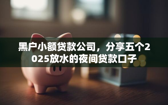 黑户小额贷款公司，分享五个2025放水的夜间贷款口子