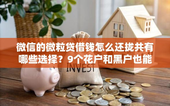 微信的微粒贷借钱怎么还拢共有哪些选择？9个花户和黑户也能放款的平台详解