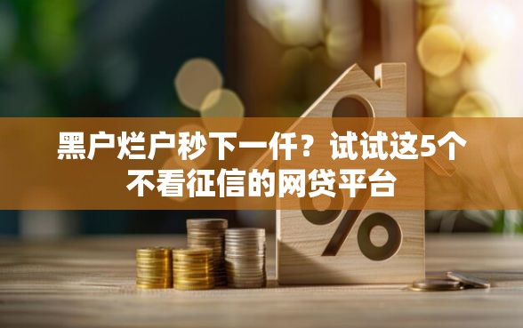 黑户烂户秒下一仟？试试这5个不看征信的网贷平台
