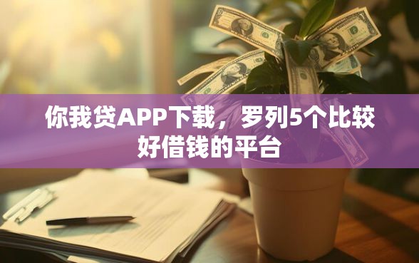 你我贷APP下载，罗列5个比较好借钱的平台