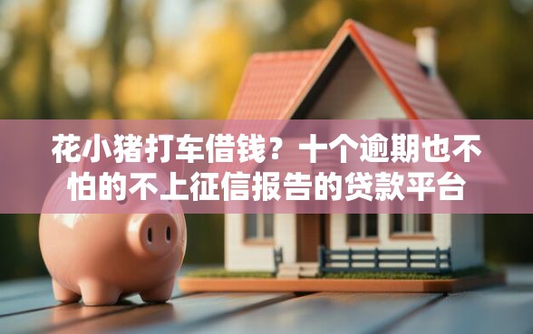 花小猪打车借钱？十个逾期也不怕的不上征信报告的贷款平台