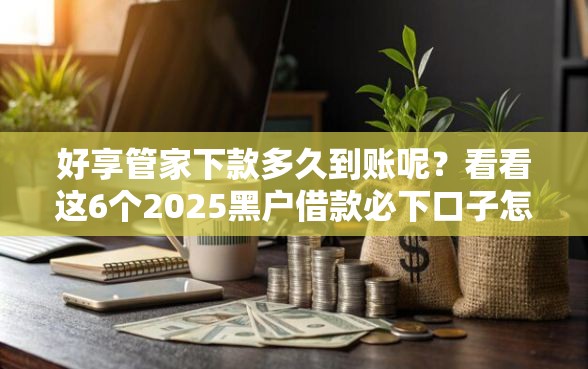 好享管家下款多久到账呢？看看这6个2025黑户借款必下口子怎么样