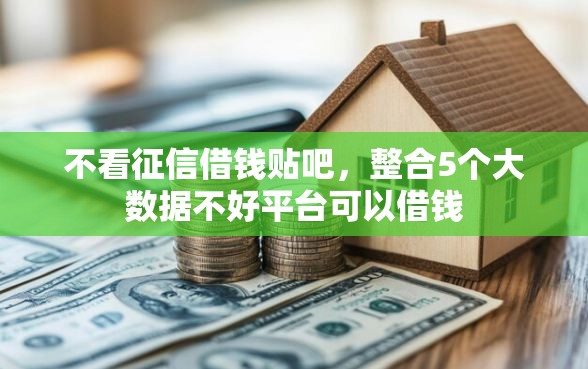 不看征信借钱贴吧，整合5个大数据不好平台可以借钱