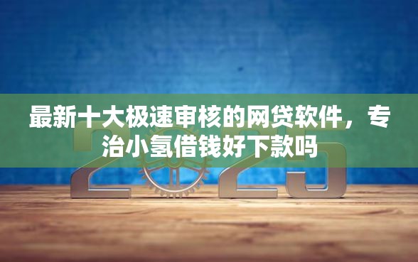 最新十大极速审核的网贷软件，专治小氢借钱好下款吗