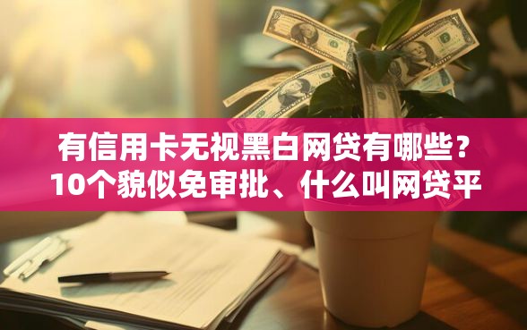 有信用卡无视黑白网贷有哪些？10个貌似免审批、什么叫网贷平台合集
