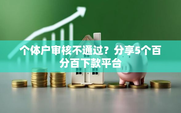 个体户审核不通过？分享5个百分百下款平台