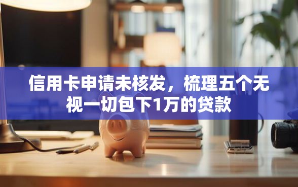 信用卡申请未核发，梳理五个无视一切包下1万的贷款