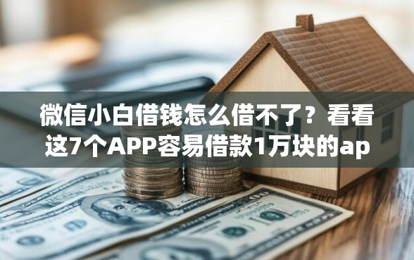 微信小白借钱怎么借不了？看看这7个APP容易借款1万块的app怎么样