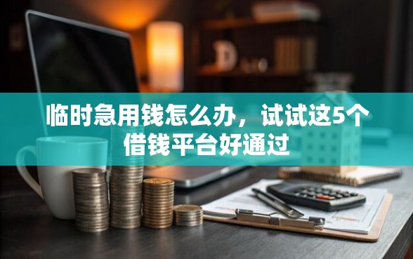 临时急用钱怎么办，试试这5个借钱平台好通过
