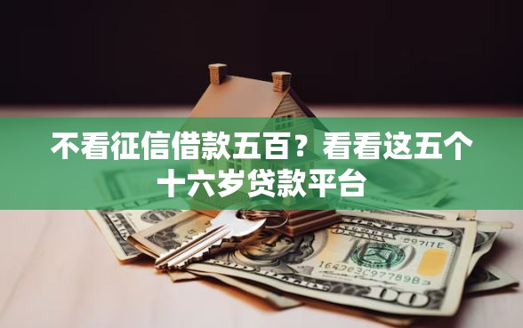 不看征信借款五百？看看这五个十六岁贷款平台