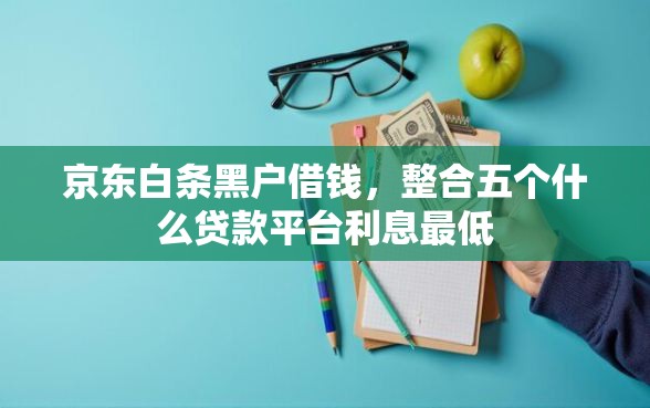 京东白条黑户借钱，整合五个什么贷款平台利息最低