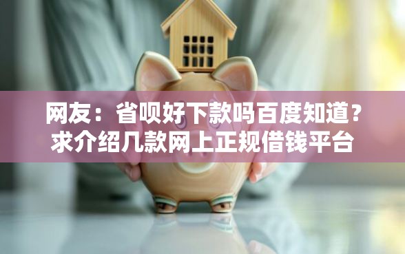 网友：省呗好下款吗百度知道？求介绍几款网上正规借钱平台