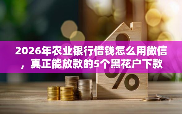 2026年农业银行借钱怎么用微信，真正能放款的5个黑花户下款口子推荐