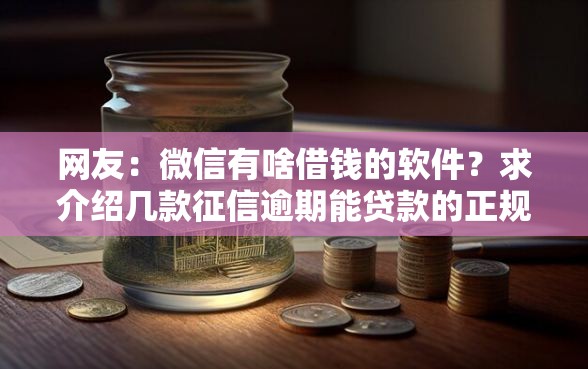网友：微信有啥借钱的软件？求介绍几款征信逾期能贷款的正规平台