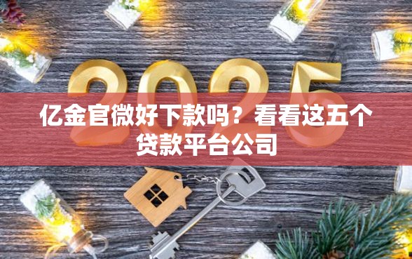 亿金官微好下款吗？看看这五个贷款平台公司