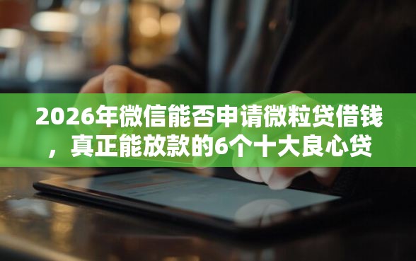 2026年微信能否申请微粒贷借钱，真正能放款的6个十大良心贷款平台推荐