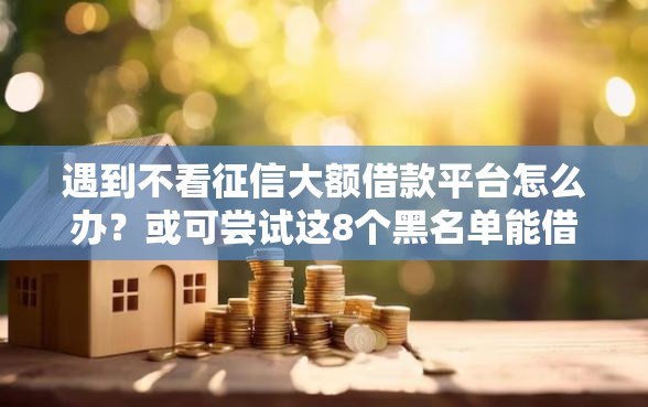 遇到不看征信大额借款平台怎么办?或可尝试这8个黑名单能借钱的平台 遇到不看征信大额借款平台怎么办?或可尝试这8个黑名单能借钱的平台