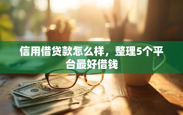 信用借贷款怎么样，整理5个平台最好借钱