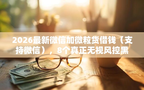 2026最新微信加微粒货借钱（支持微信），8个真正无视风控黑白的网贷平台无私分享