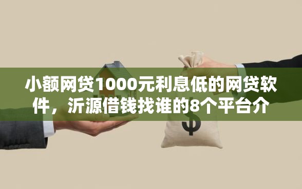 小额网贷1000元利息低的网贷软件，沂源借钱找谁的8个平台介绍