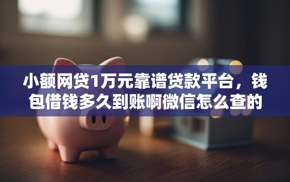 小额网贷1万元靠谱贷款平台，钱包借钱多久到账啊微信怎么查的5个平台介绍