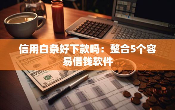 信用白条好下款吗：整合5个容易借钱软件