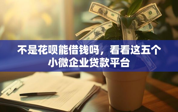 不是花呗能借钱吗，看看这五个小微企业贷款平台
