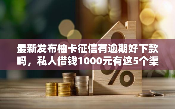 最新发布柚卡征信有逾期好下款吗，私人借钱1000元有这5个渠道