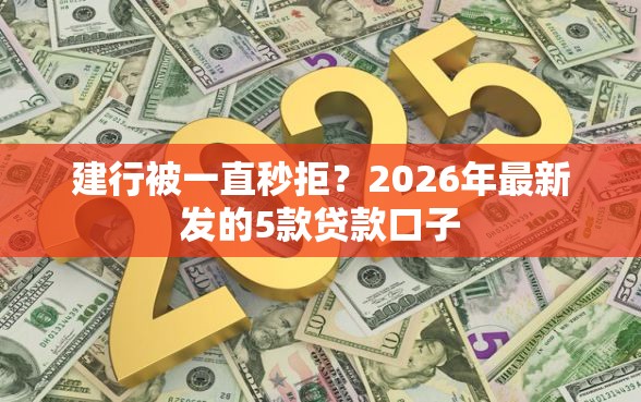 建行被一直秒拒？2026年最新发的5款贷款口子