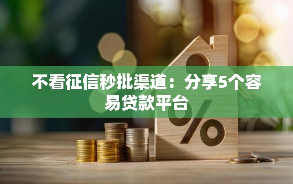 不看征信秒批渠道：分享5个容易贷款平台