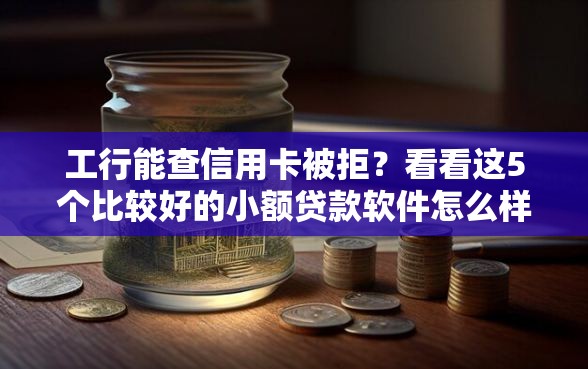 工行能查信用卡被拒？看看这5个比较好的小额贷款软件怎么样