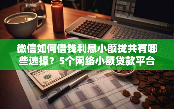 微信如何借钱利息小额拢共有哪些选择？5个网络小额贷款平台详解