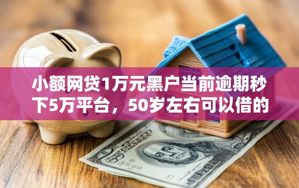 小额网贷1万元黑户当前逾期秒下5万平台，50岁左右可以借的贷款软件的8个平台介绍