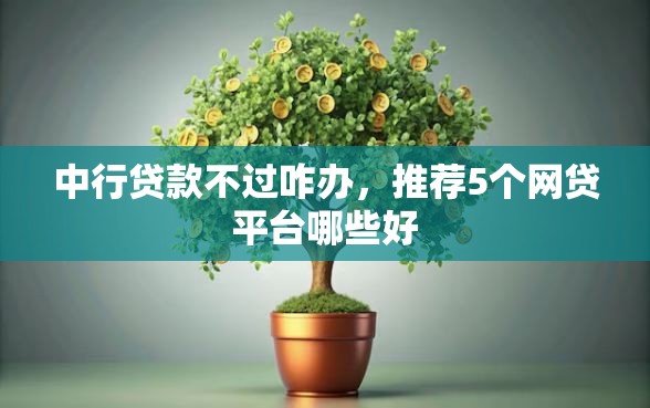 中行贷款不过咋办，推荐5个网贷平台哪些好
