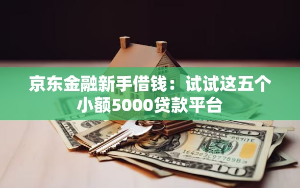 京东金融新手借钱：试试这五个小额5000贷款平台