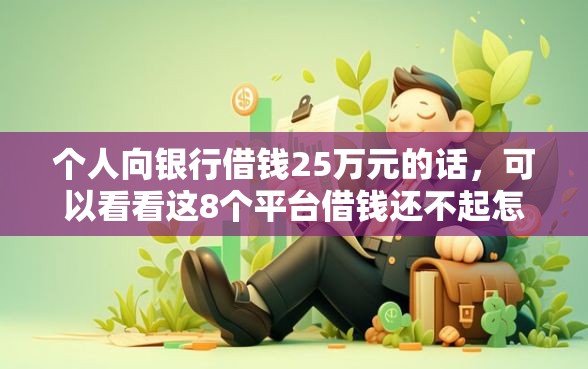 个人向银行借钱25万元的话，可以看看这8个平台借钱还不起怎么办