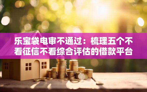 乐宝袋电审不通过：梳理五个不看征信不看综合评估的借款平台