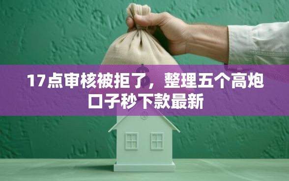 17点审核被拒了，整理五个高炮口子秒下款最新