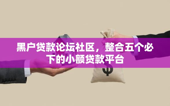 黑户贷款论坛社区，整合五个必下的小额贷款平台