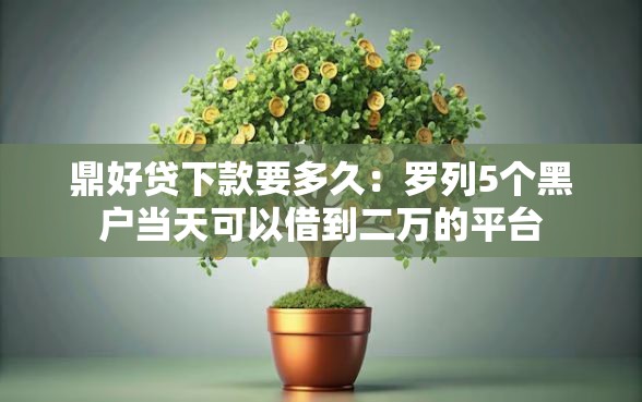 鼎好贷下款要多久：罗列5个黑户当天可以借到二万的平台