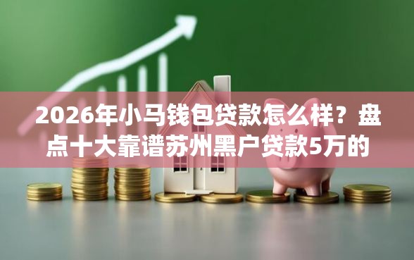 2026年小马钱包贷款怎么样？盘点十大靠谱苏州黑户贷款5万的app