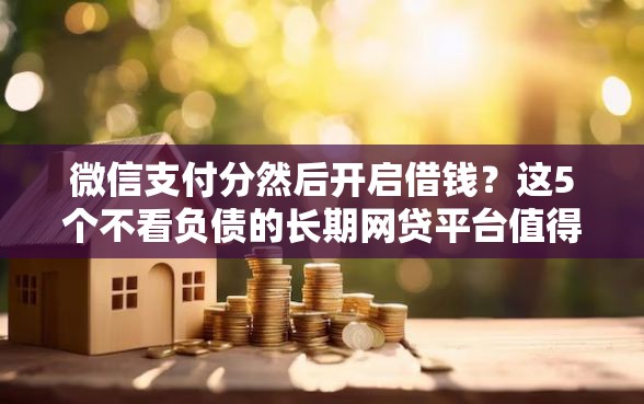 微信支付分然后开启借钱？这5个不看负债的长期网贷平台值得一试