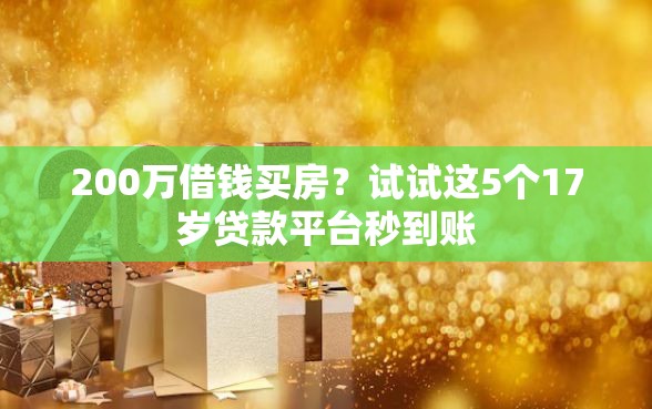 200万借钱买房？试试这5个17岁贷款平台秒到账