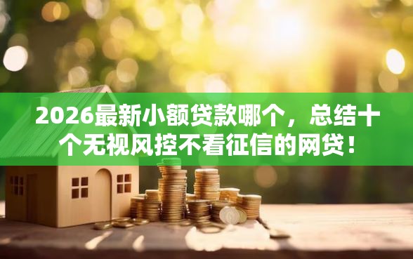 2026最新小额贷款哪个，总结十个无视风控不看征信的网贷！