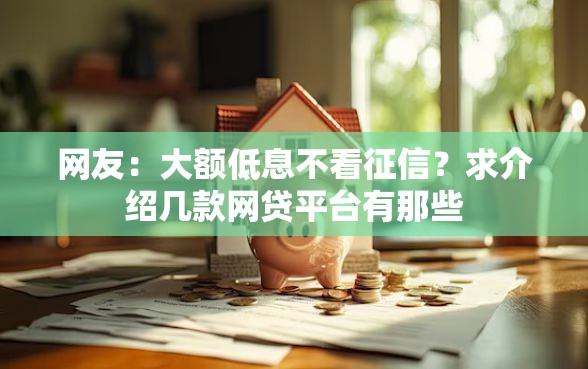 网友：大额低息不看征信？求介绍几款网贷平台有那些