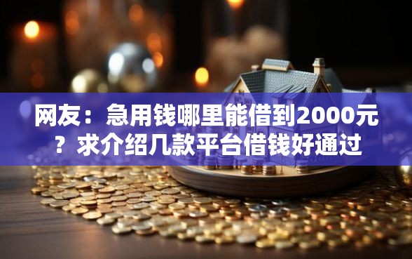 网友：急用钱哪里能借到2000元？求介绍几款平台借钱好通过
