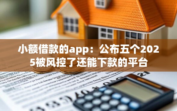 小额借款的app：公布五个2025被风控了还能下款的平台